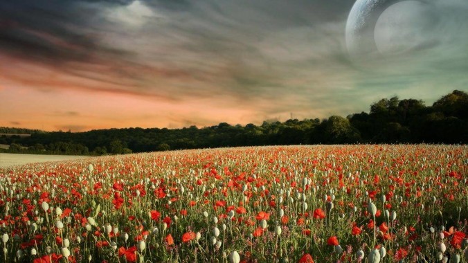 正确使用电子血压计应注意哪些问题？